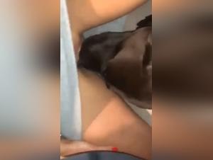 Teen Se Fait Baiser par Chien Hardcore
