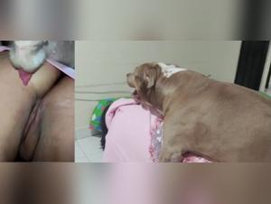 Hund vs. Frau - Extrem 98/144