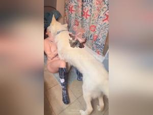 Meuf baise chien hardcore