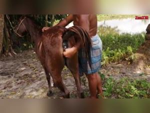 Horse Fisting Filthy Bitch, Anal Clitoris Pleasure