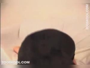 Puta Succiata dal Cane - XXX