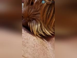 Scopata da Cane Parte 1