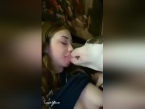 sodomiacalità canina: passione bestiale