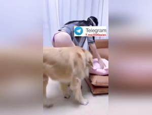 Asian Teen Dog Fuck Solo at Home