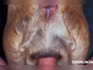 Milly Dog Extreme Sex