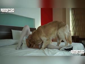 アリナは彼女の犬に会います：ハードコアワイルドセックス
