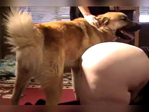 Maki Hokujo : La Ménageuse Obsédée Baise Son Chien