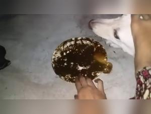 Perro & Pies 2 - Put**a Se Deja Follar