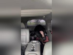 Chica Foca Perro Parte 1