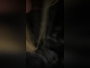 Verbotene Hundewelt Lust