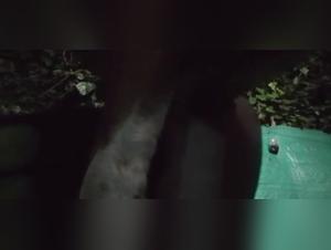  Chien défonce pendant la nuit