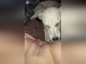 bestialità selvaggia
