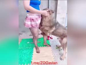 Sesso Canino Chinse - Donna Puta & Cane (Parte 1)