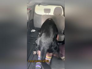 Woman fucks dog hardcore