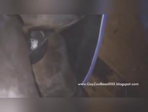 Milly con Caballo: Folla Extrema Pt2