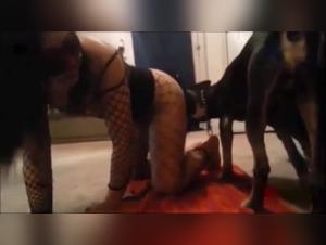 Girl Devours Dog Desire