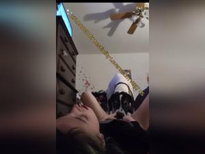 Hund vergewaltigt Stripper