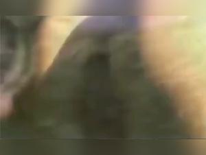 Blondie Hund Sex Strand