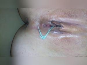 Wild Dog Fuck: In My Pussy