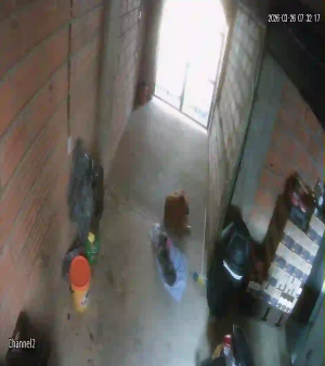 Caméra IP - Colombia