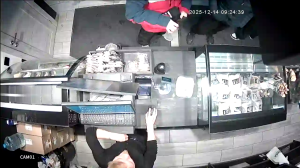 Caméra IP - Russische Föderation