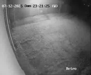 Caméra IP - Italien