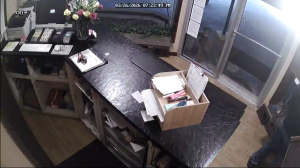 Caméra IP - États-Unis d'Amérique