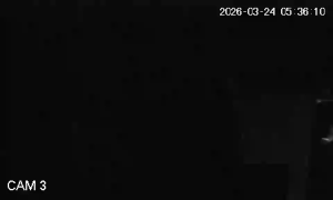 Caméra IP - Sudafrica