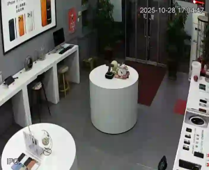 Caméra IP - Chine