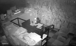 Caméra IP - Algerien