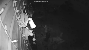 Caméra IP - Vereinigte Staaten von Amerika