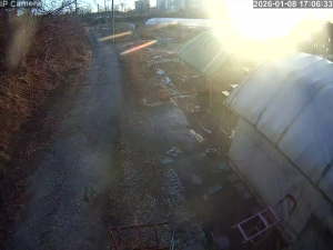 Caméra IP - South Korea