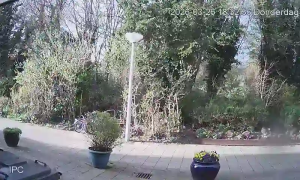 Caméra IP - Paesi Bassi