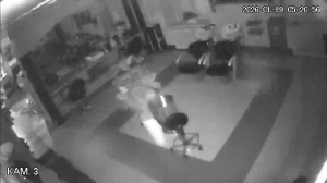 Caméra IP - Russian Federation