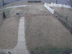 Caméra IP - Estados Unidos