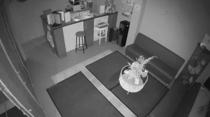 Caméra IP - Russian Federation