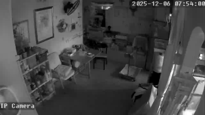 Caméra IP - Hong Kong