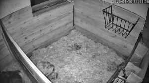 Caméra IP - Österreich