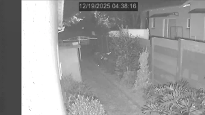 Caméra IP - Südafrika