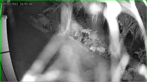 Caméra IP - Vietnam