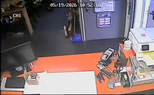 Caméra IP - Netherlands