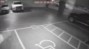 Caméra IP - Südkorea