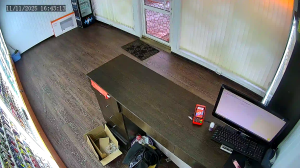 Caméra IP - Russian Federation