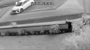 Caméra IP - New Zealand