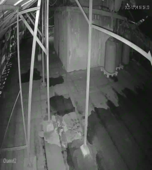 Caméra IP - Libanon