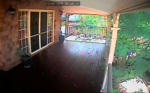 Caméra IP - Australia