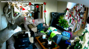 Caméra IP - United States of America