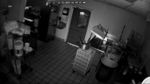 Caméra IP - United States of America