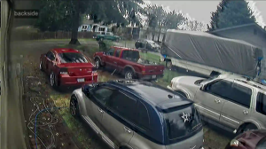 Caméra IP - Stati Uniti d'America