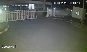 Caméra IP - Thailand